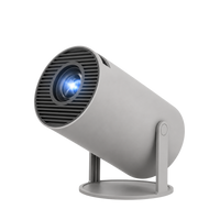 Projector